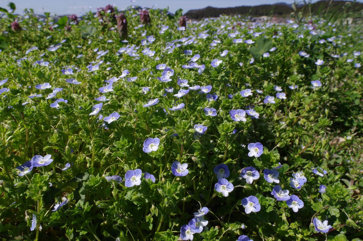 �I�I�C�k�m�t�O��