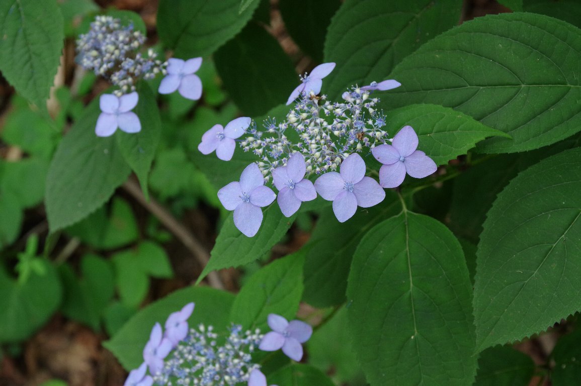 ���}�A�W�T�C