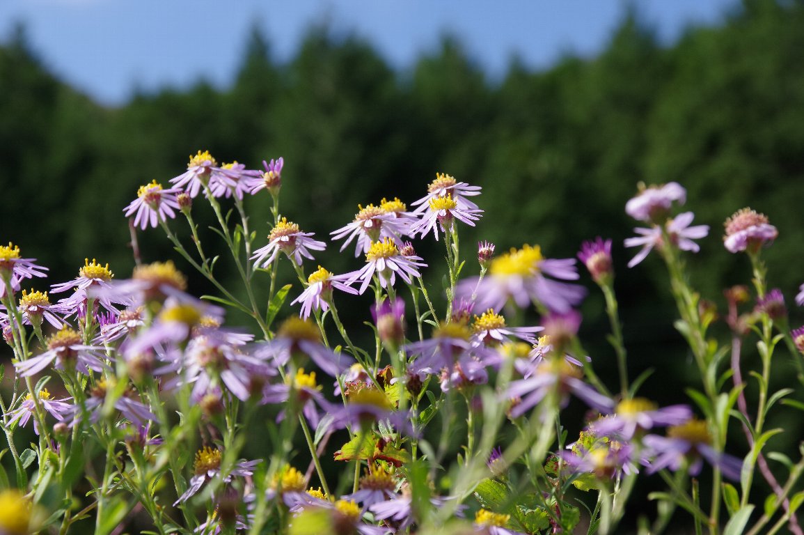 �m�R���M�N