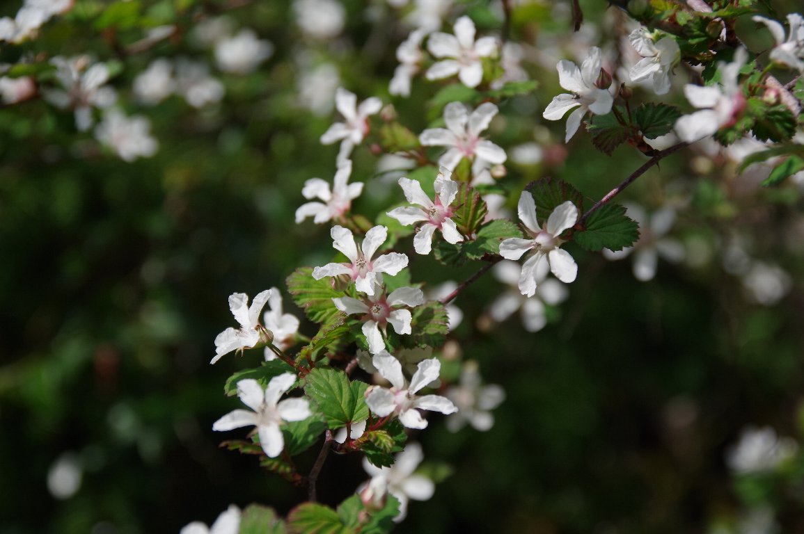 �j�K�C�`�S