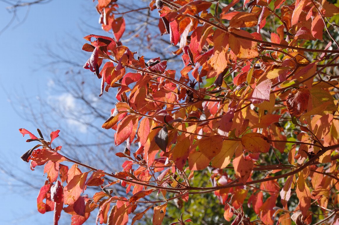 ���`�c�c�W