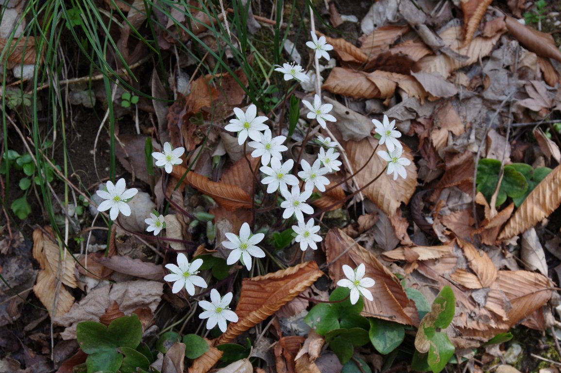 �~�X�~�\�E