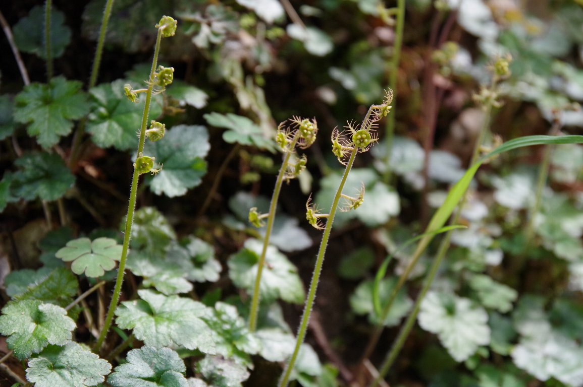 �R�`���������\�E