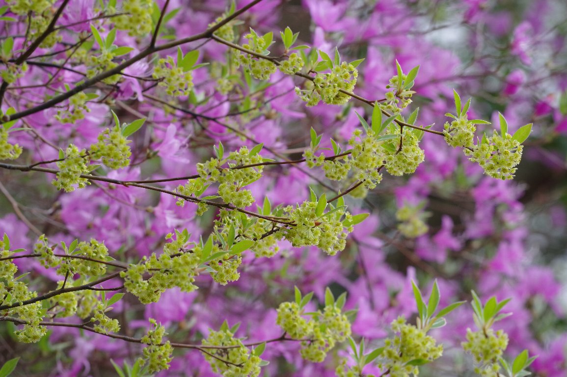 �N�����W