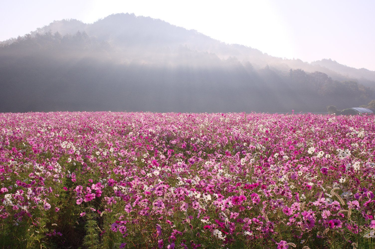 �H���~��