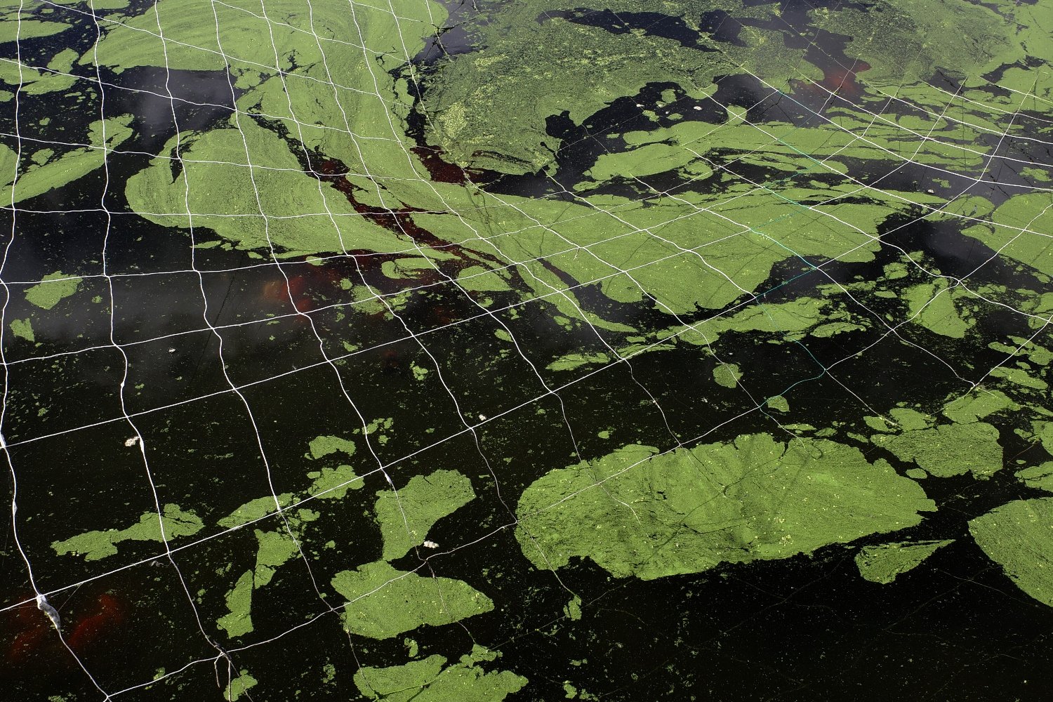 �嗤�ړ���