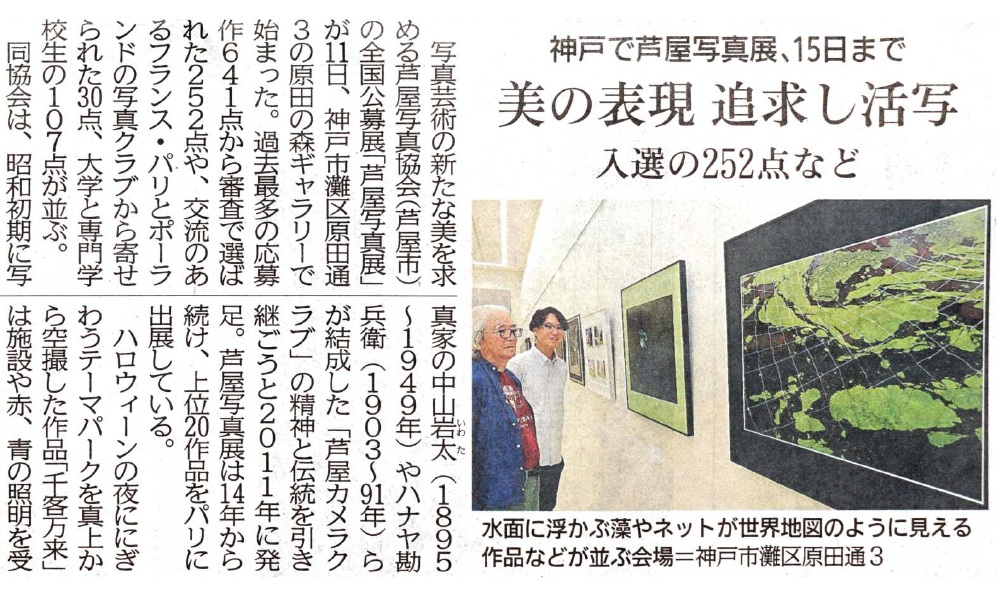 �V���L��