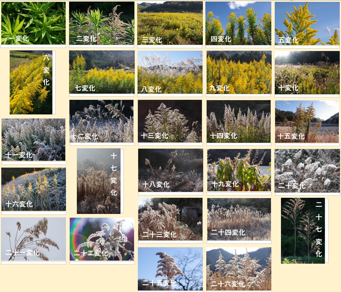 �W���v����