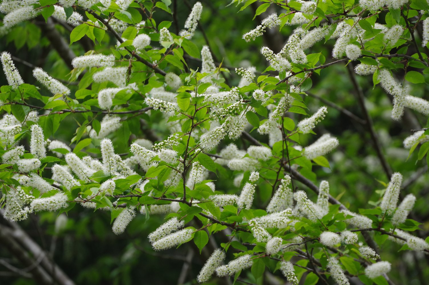 ����݂�������