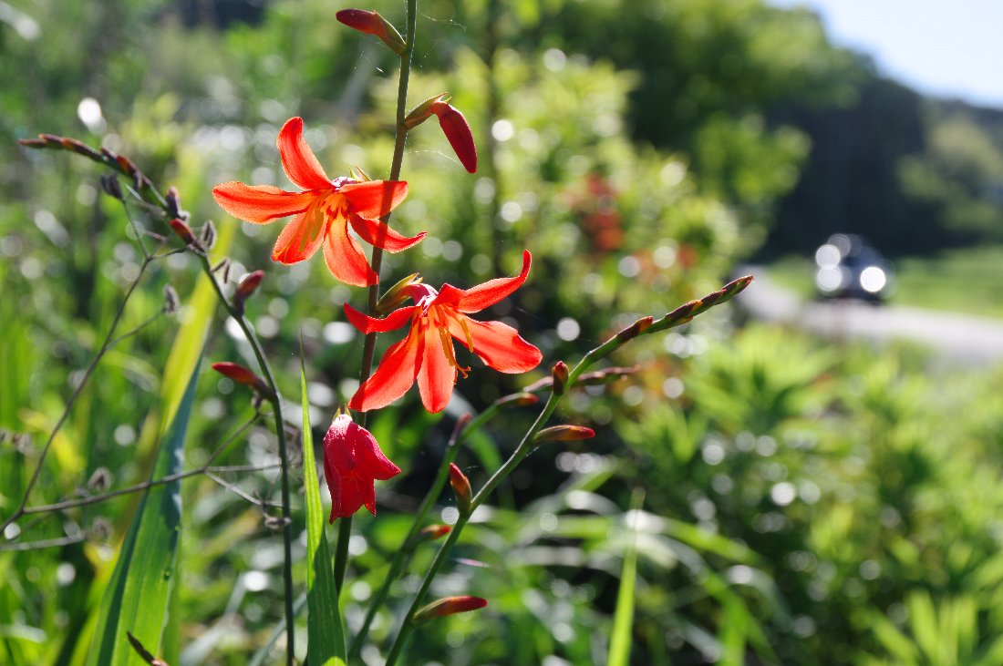 �q���q�I�E�M�Y�C�Z��