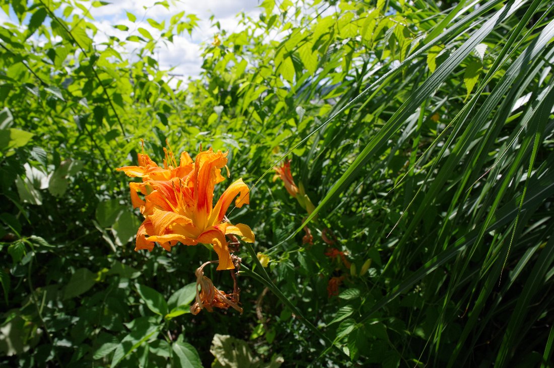 ���u�J���]�E