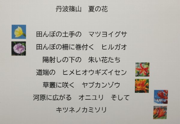 �L���v�V����