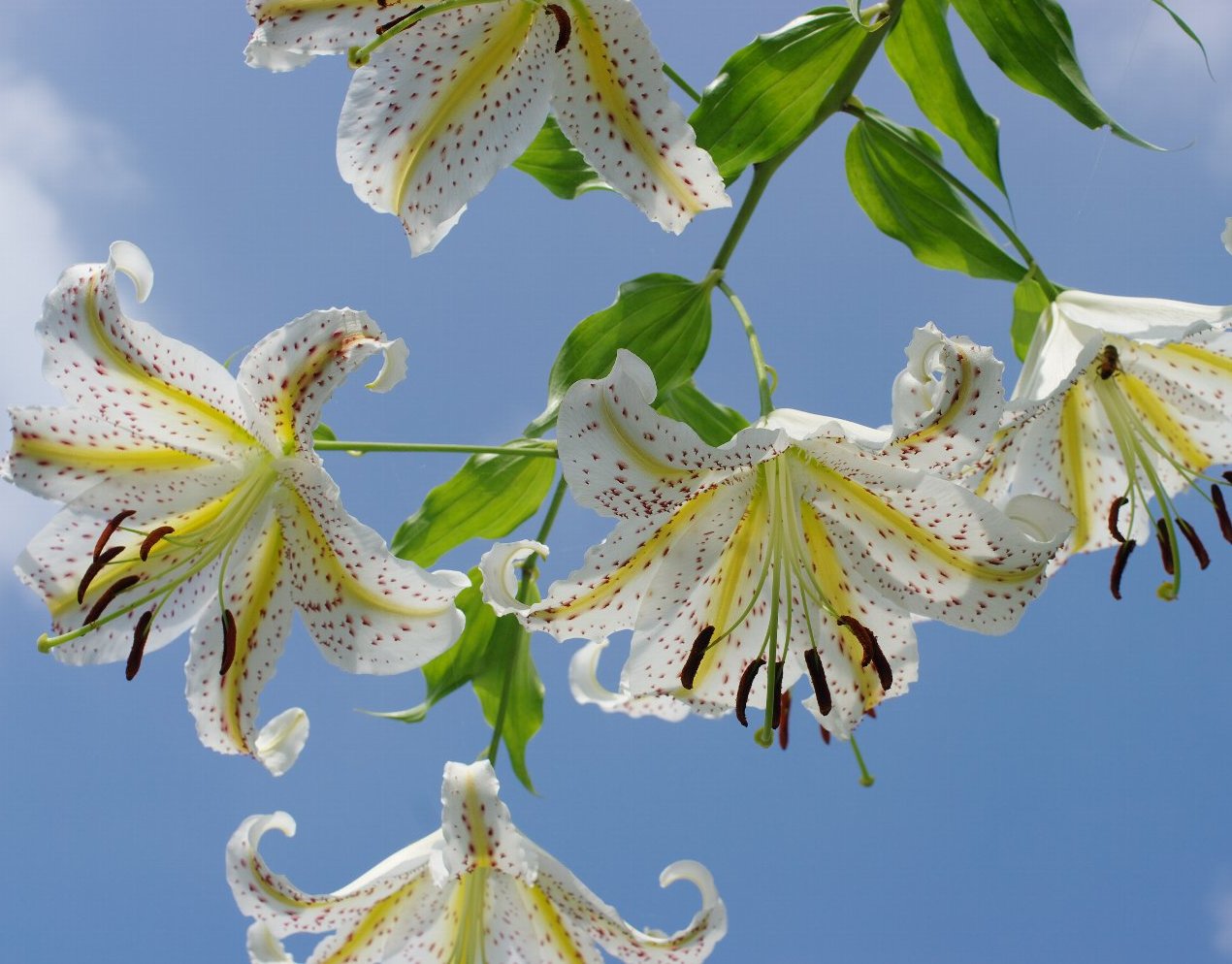 ���}����