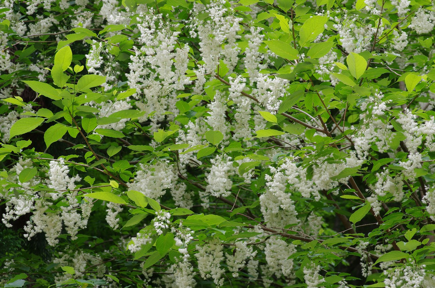 �I�I�o�A�T�K��