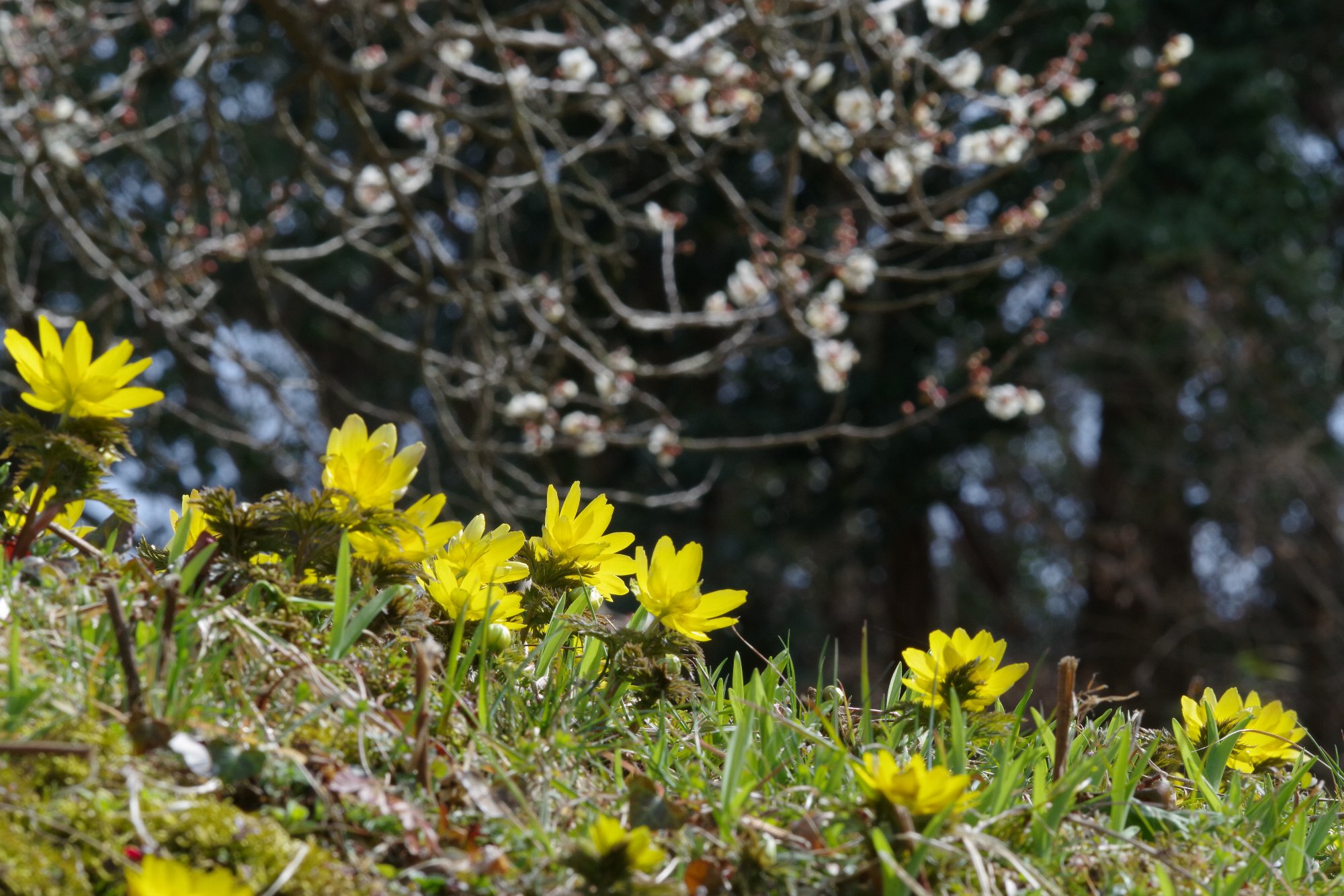 �~�`�m�N�t�N�W���\�E